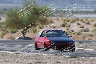 media/Oct-24-2025-Doghouse Garage (Fri) [[783d2ff07a]]/1-Advanced/Session 2 Turn 5 Tree of Life/